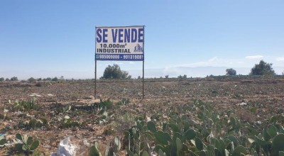 TERRENO PANAMERICANA LA JOYA-6